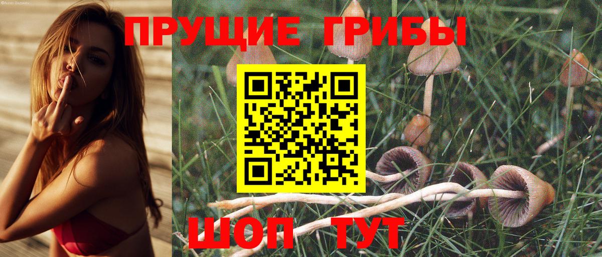 Псилоцибиновые грибы MAGIC MUSHROOMS  Галлюциногенные грибы Psilocybine cubensis  Мичуринск  Вход с VPN 